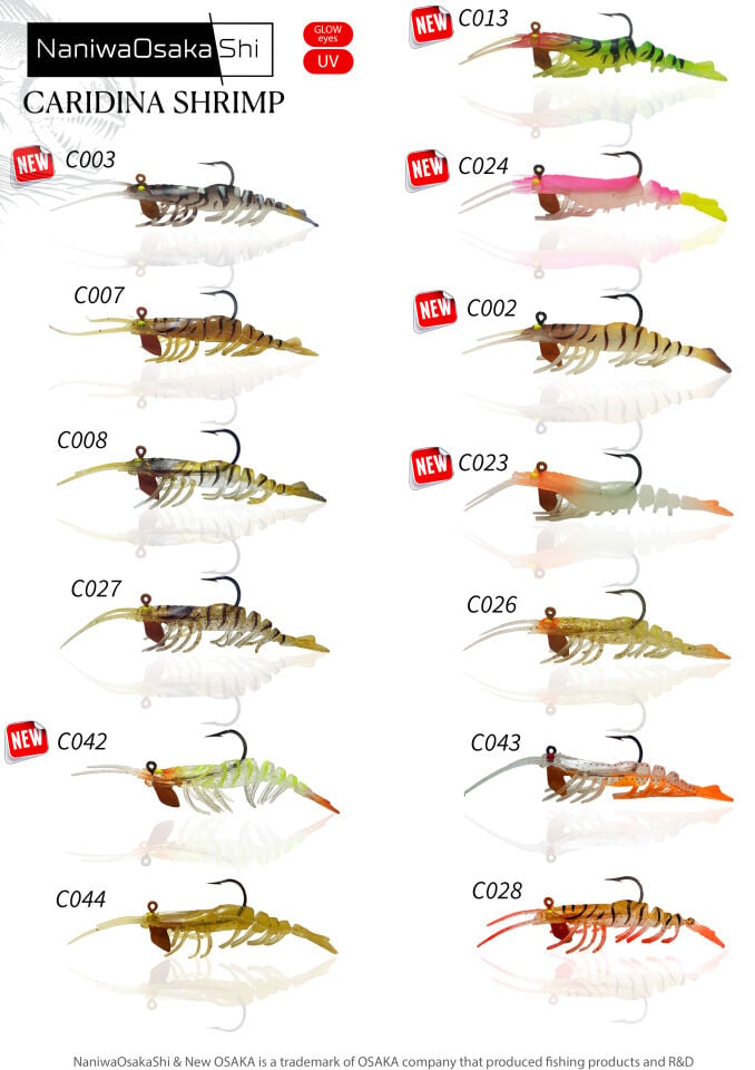 NANIWAOSAKASHI CARIDINA SHRIMP 5CM 3.5GR