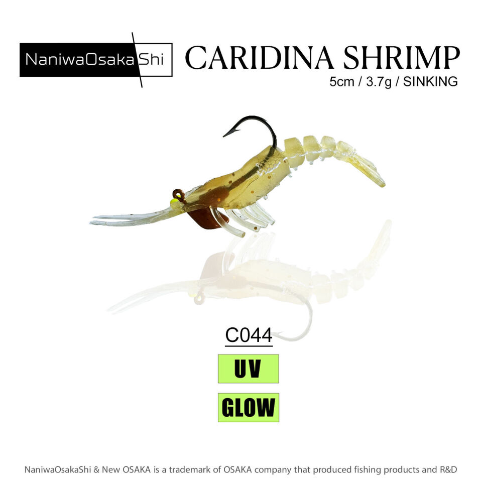 NANIWAOSAKASHI CARIDINA SHRIMP 5CM 3.5GR C044