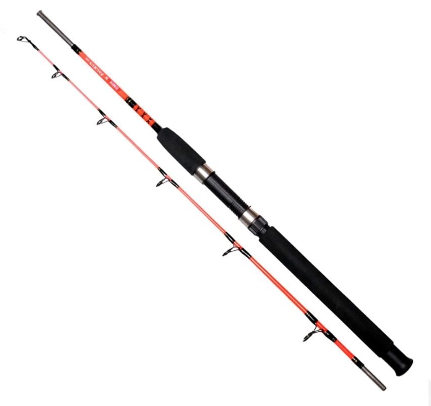 Remixon Pagrus 1.65 m 60-120 gr Olta Kamışı
